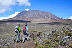 8 Days Lemosho Route – Kilimanjaro